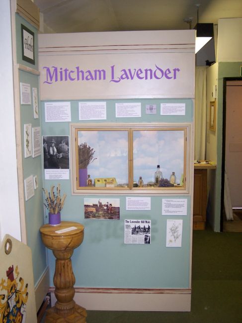 Mitcham Lavender