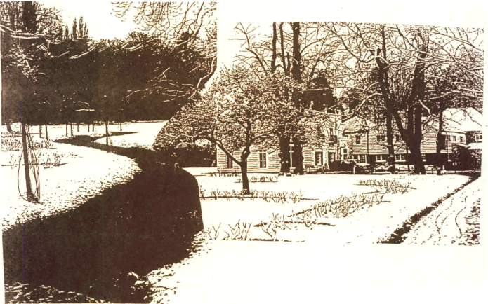 Winter in Morden Hall Park
