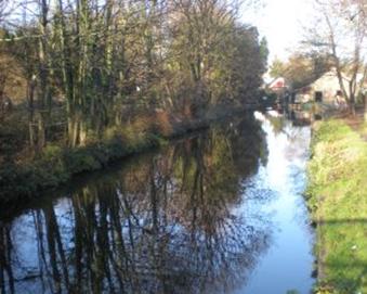 The Wandle at MAM,  Christmas 2009