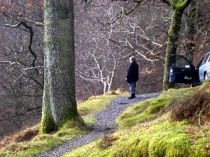 Looking out over Ullswater