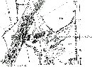 The mill in c. 1865