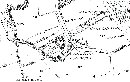 The mill in 1865