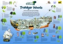 http://www.treeforall.org.uk/trafalgar/Schools/trafalgarposter/