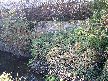 Link to large image