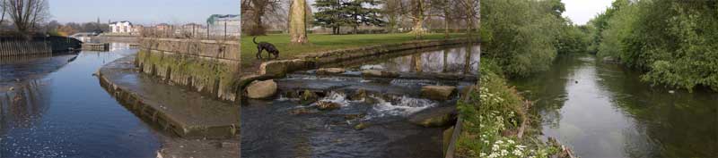 The Wandle